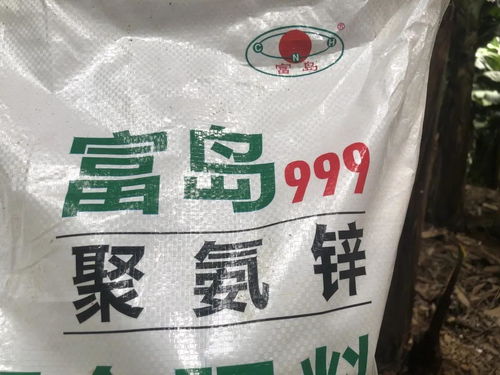 蕉二代增值賬 富島翔燕與百萬(wàn)元背后的化學(xué)力量