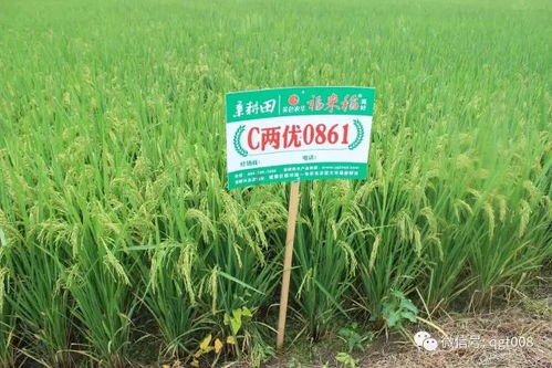 國內(nèi)外耕地培肥的技術(shù)對(duì)比